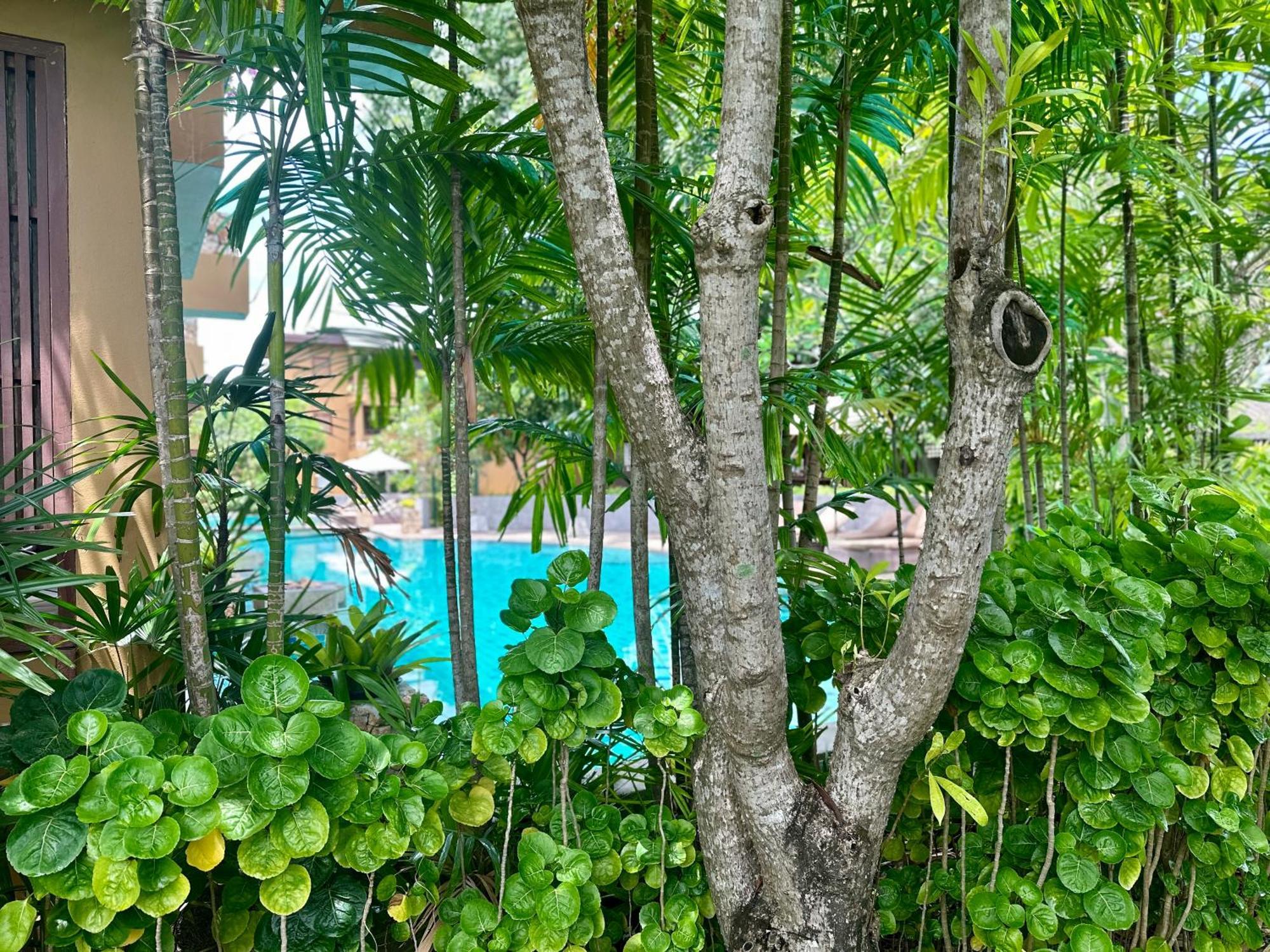 Deva Beach Resort Samui Choeng Mon Zewnętrze zdjęcie